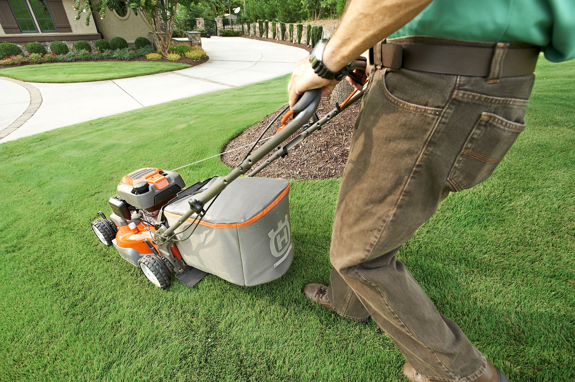 Lawn