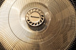 spin